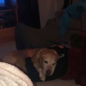 Meet your Posher, Sam